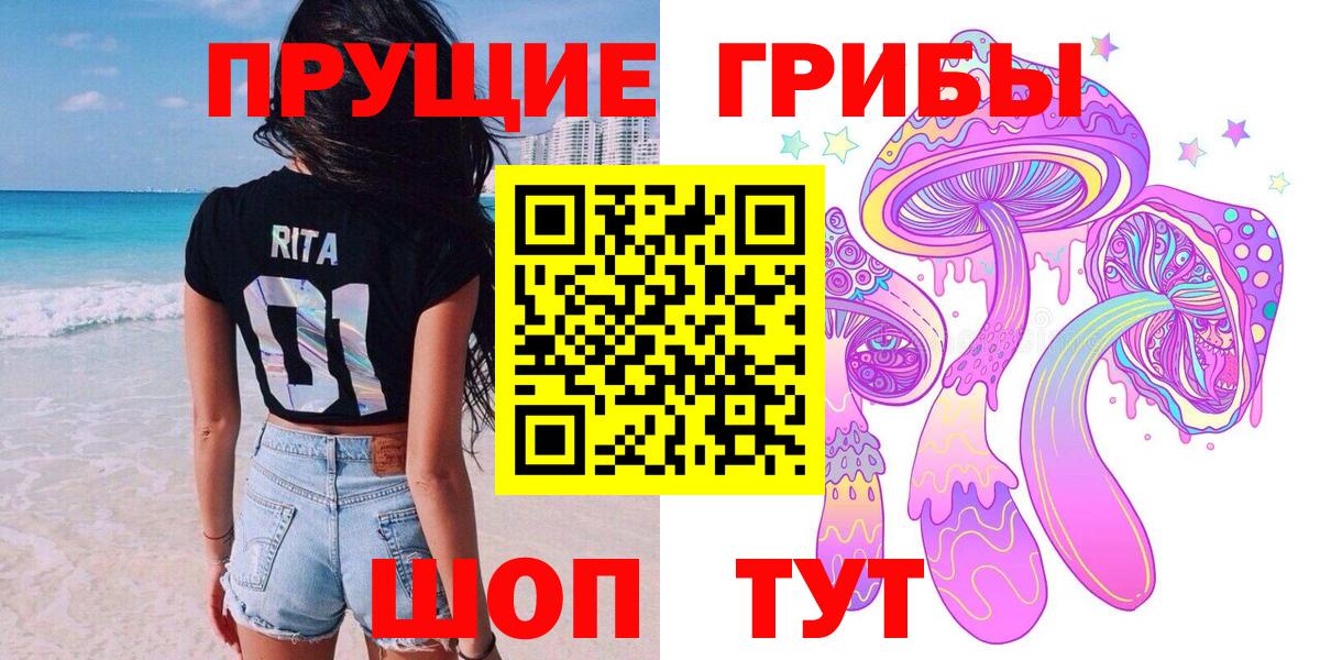 Кушва  Галлюциногенные грибы Psilocybine cubensis  Галлюциногенные грибы прущие грибы  Вход с VPN 